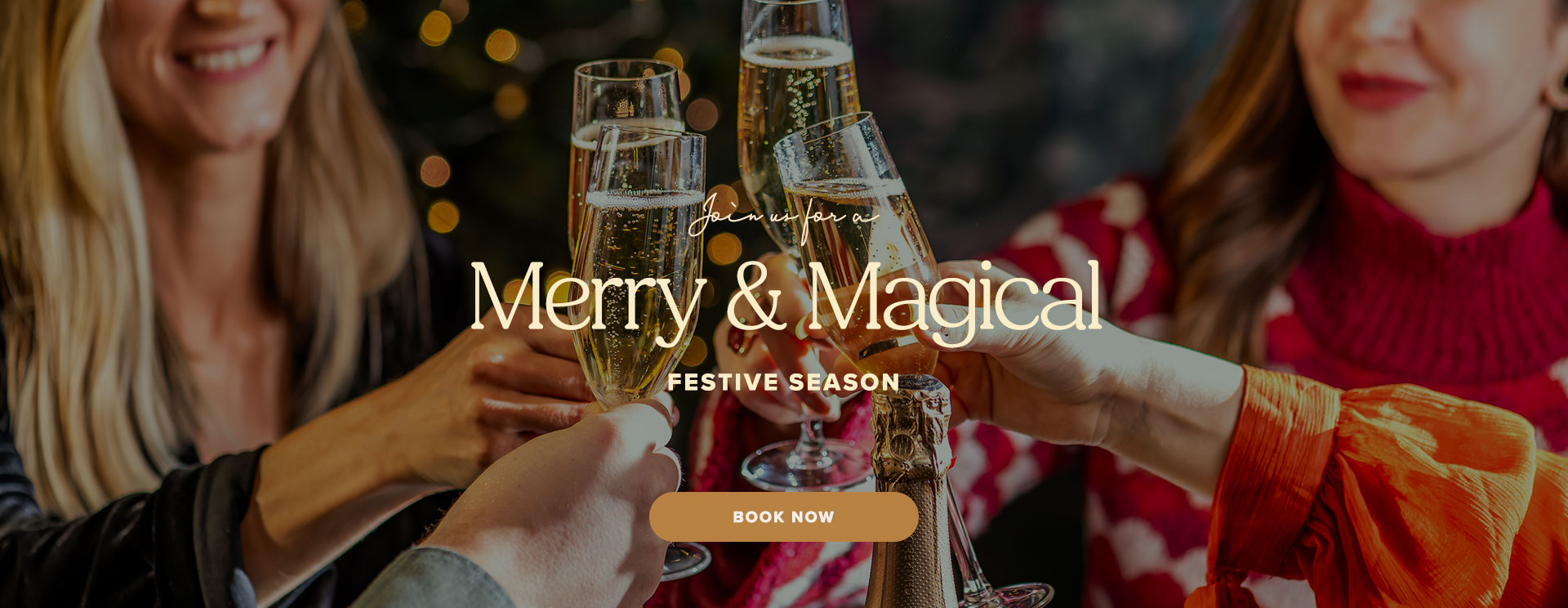 Christmas 2025 at Meriden